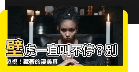 壁虎叫風水|【壁虎叫代表什麼意思】壁虎一直叫不停？別忽視！藏。